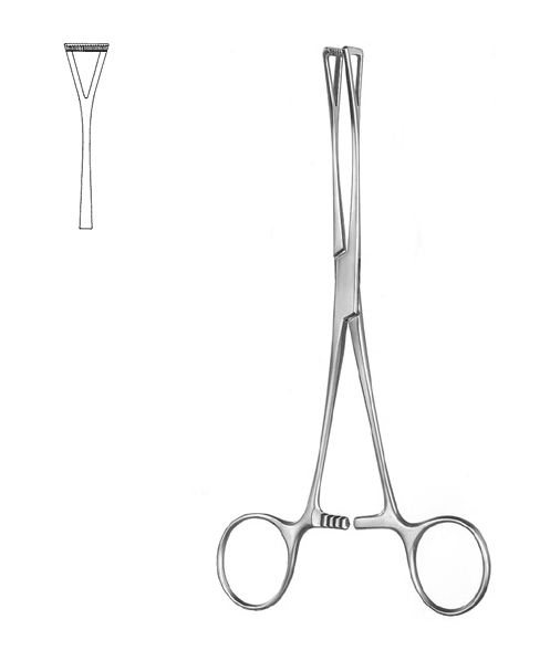 https://daqiqinstruments.com/wp-content/uploads/2022/04/7435.jpg